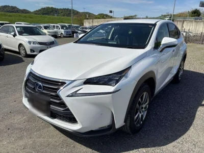 Lexus NX300h