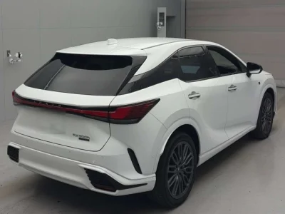 Lexus RX500h