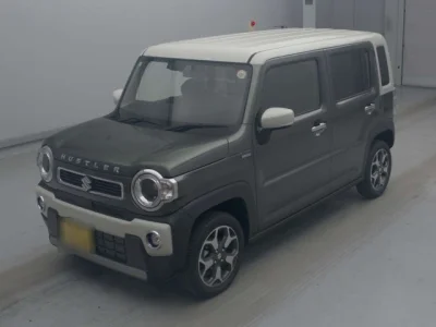 Suzuki HUSTLER
