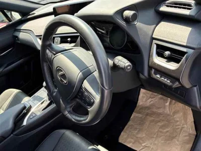 Lexus UX250h