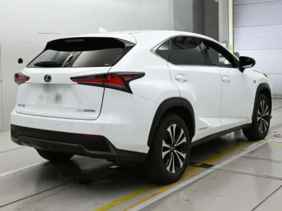 Lexus NX300h