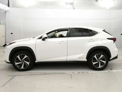 Lexus NX300h