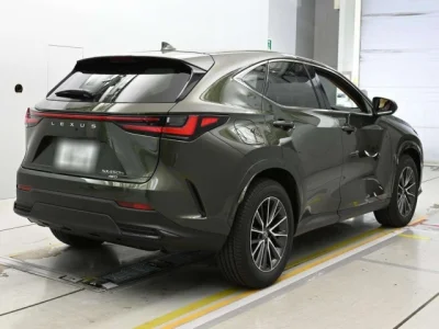 Lexus NX450h+