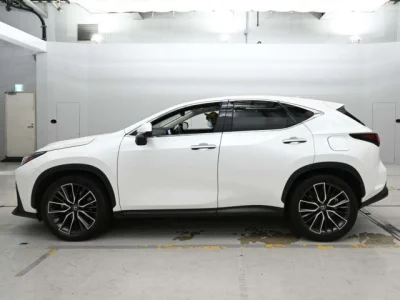 Lexus NX250
