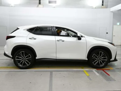 Lexus NX250