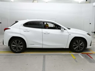 Lexus UX250h