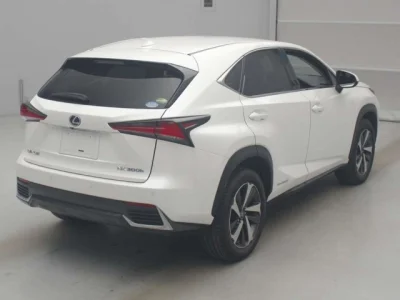 Lexus NX300h