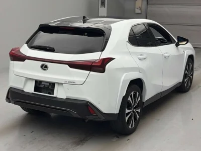 Lexus UX250h
