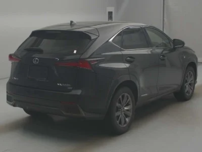 Lexus NX300h