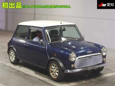Rover MINI
