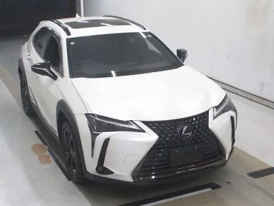 Lexus UX250h