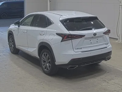 Lexus NX300