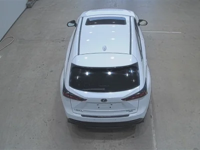 Lexus NX300