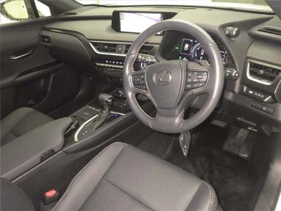 Lexus UX250h