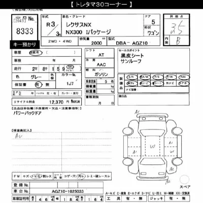 Lexus NX300