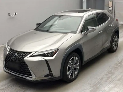 Lexus UX300e