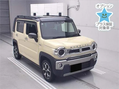 Suzuki HUSTLER