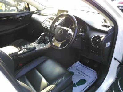 Lexus NX300