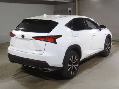 Lexus NX300