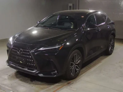 Lexus NX250