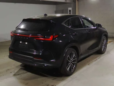 Lexus NX250