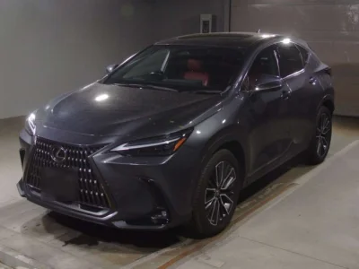 Lexus NX350h