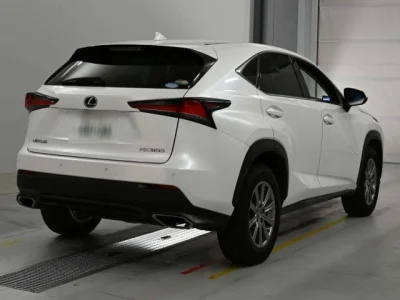 Lexus NX300
