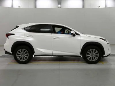 Lexus NX300