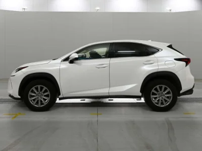 Lexus NX300