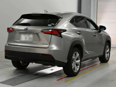 Lexus NX300h