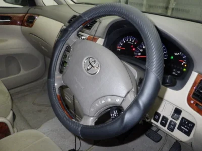 Toyota Ipsum