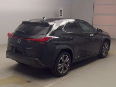 Lexus UX300e
