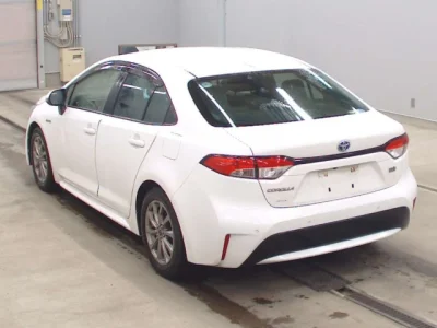 catalog-car-6