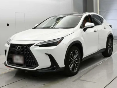 Lexus NX250