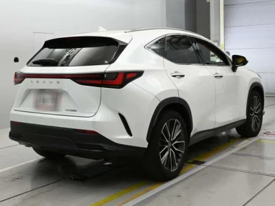 Lexus NX250