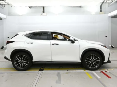 Lexus NX250
