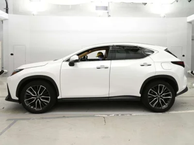 Lexus NX250