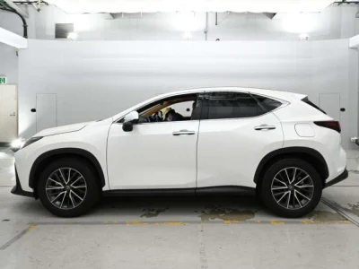 Lexus NX250