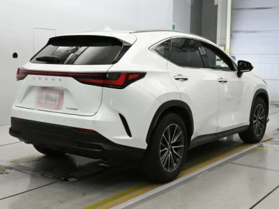 Lexus NX250