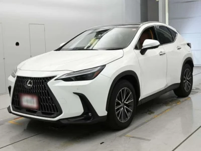 Lexus NX250