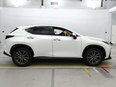 Lexus NX250