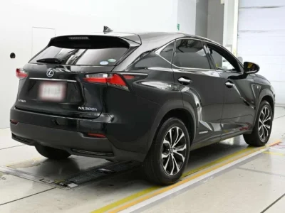 Lexus NX300h