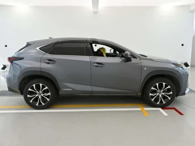 Lexus NX300h