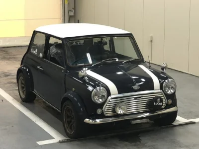 Rover MINI