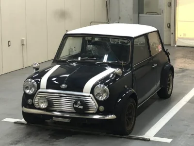 Rover MINI
