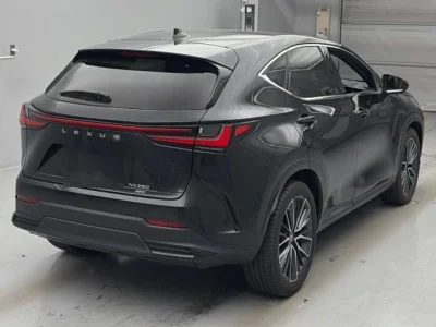 Lexus NX250