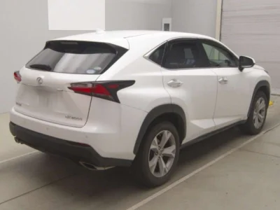 Lexus NX300