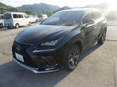 Lexus NX300