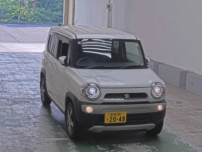 Suzuki HUSTLER