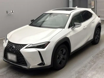 Lexus UX300h